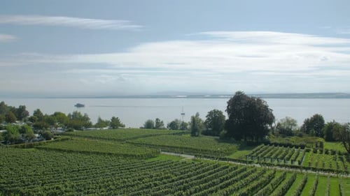 The Lake Summer Resort Landscape