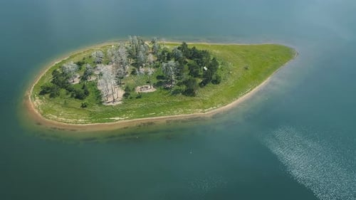 Small lake island with white and green trees from above