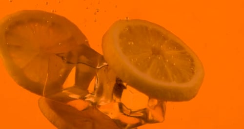 Lemon Slices and Ice Cubes Falling in Liquid