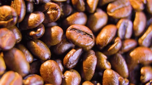 Roasted Coffee Beans Close-Up Macro Shot