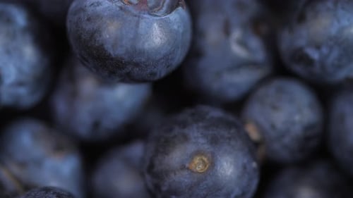 Close Up Of Blueberries Spinning 03