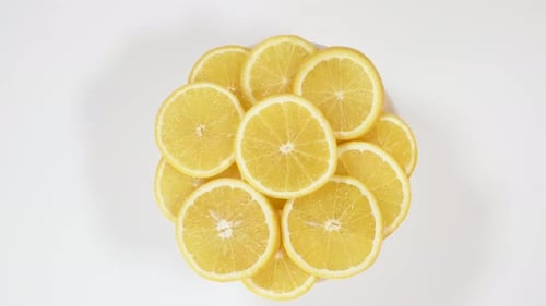 Lemon Slices Circular Arrangement Food Still Life