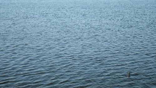 Welligkeit auf der Wasseroberfläche