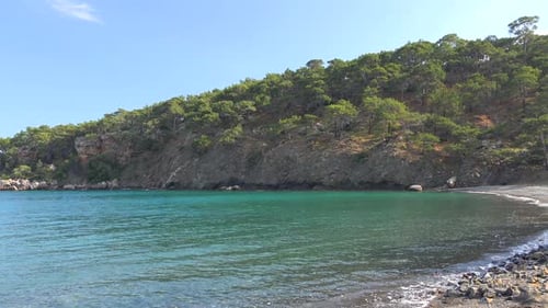 A Untouched Cove By Forest