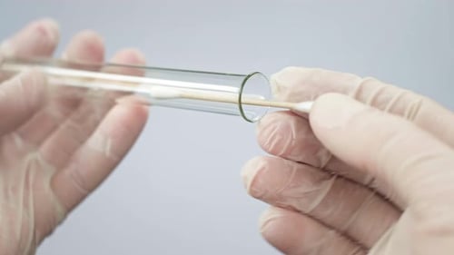 Close-Up of Hands Using Swab in Test Tube