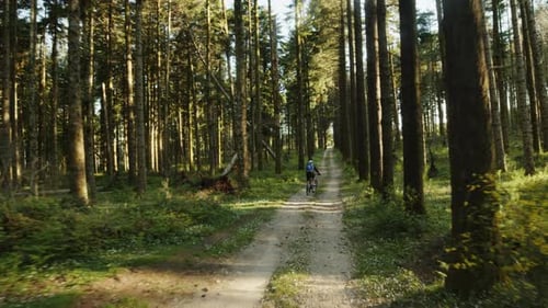 Boy Rides a Cross Bike on a Dirt Road in the Middle of the Forest