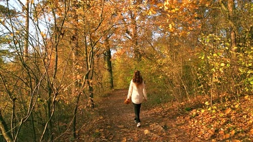 Woman Walking Alone on Forest Path.