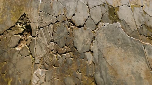 Wall Fragment with Scratches and Cracks