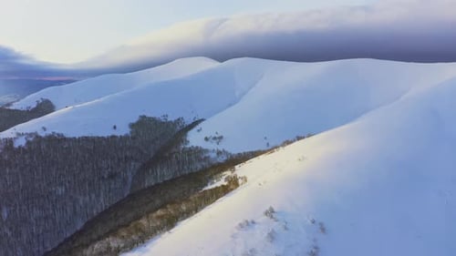 High Snowy Mountain Covered with Evergreen Fir Trees on a Sunny Cold Day