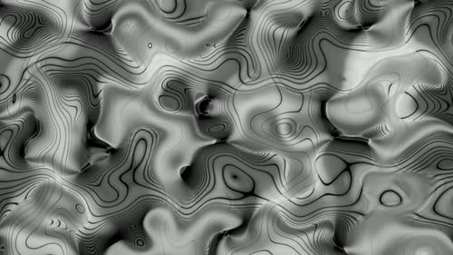 Fluid Organic Topographic Lines Abstract Background Loop