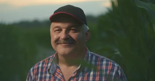Smiling Farmer in Green Cornfield Close Up