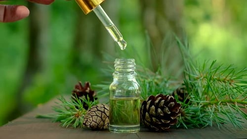 Óleo essencial de abeto em uma pequena garrafa
