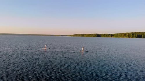 Two Friends Smoothly Sail Away From the Shore of the Lake and Row with Oars