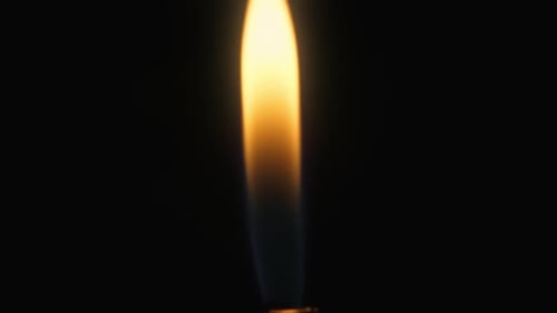 Lights the Fire Lighter