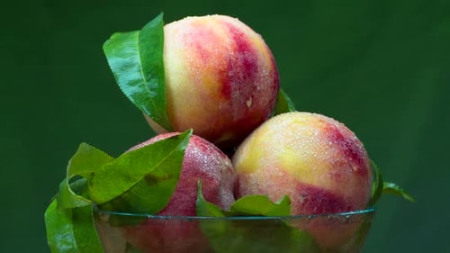 Fresh Peaches in Bowl with Leaves