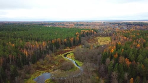 Autumn In The Forest 29