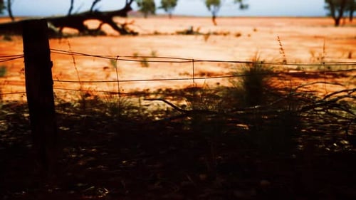 Slow Pan of Outback Barbed Wire Fence in Desert Landscape