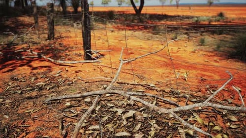 Arid Desert Landscape with Old Barbed Wire Fence