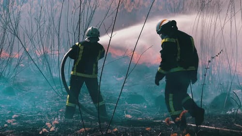 Two Firefighters in Equipment Extinguish Forest Fire with Fire Hose. Slow Motion