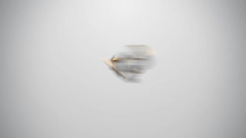 Typography and icon animation presents different areas of human activity.