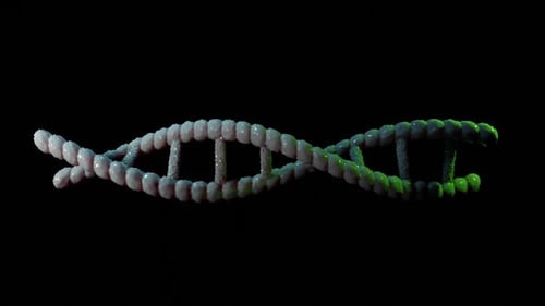 Rotating 3D DNA Double Helix Science Animation