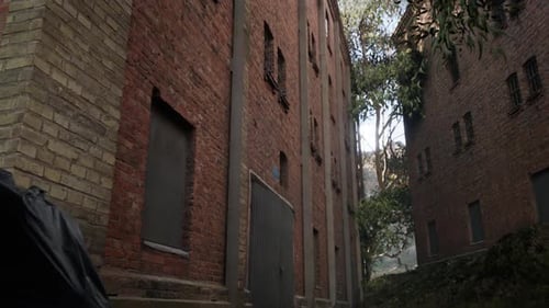 Maneira da natureza 3