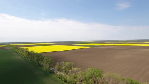 Agricultural Fields In Spring