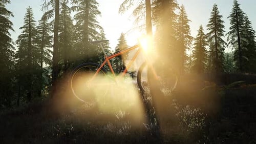 Fahrrad im Bergwald bei Sonnenuntergang