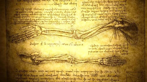 Anatomie-Kunst