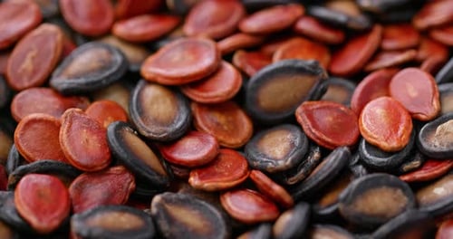 Mix Black and red melon dry seed for chinese new year