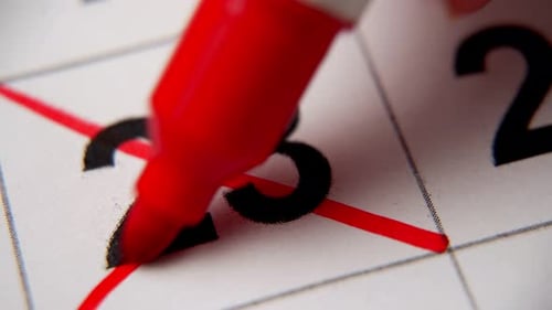 23-е число календаря перечеркнуто красным крестом в макросе на белом листе