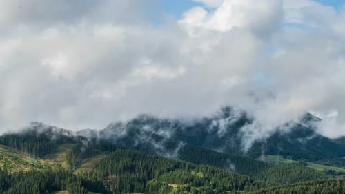 Misty Clouds over Forest Mountains in Sunny Morning Nature