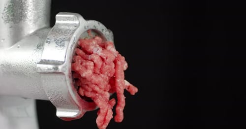 Raw Minced Meat Falls From the Meat Grinder.