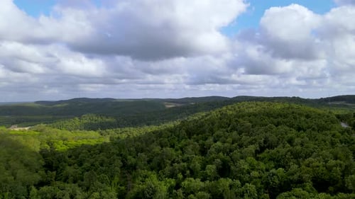 Vol en Drone au-dessus de la forêt du nord d'Istanbul. Ciel nuageux et nature verdoyante