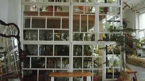 Indoor Garden with Houseplants