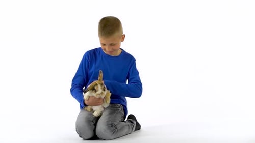 Boy Sitting with Rabbit Petting Furry Pet