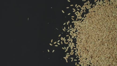 Someone Pouring Rice Grain to Black Floor