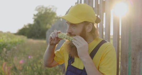 A Farmer in a Corn Field