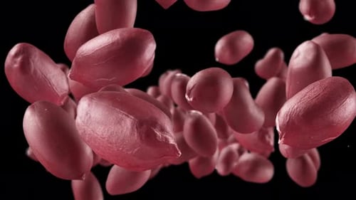 Shelled Peanuts Floating Against Black Background