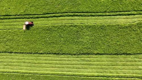 Vue aérienne d'un tracteur tondant une herbe fraîche verte