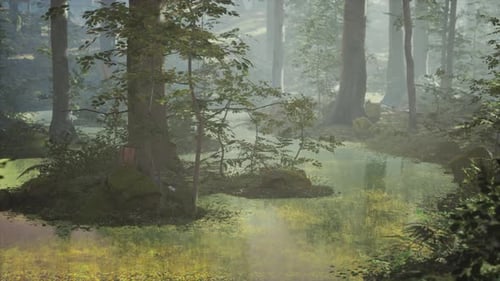 Sunrise with Sunbeams Through the Forest By the Lake