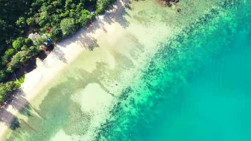 Aerial drone nature of idyllic seashore beach wildlife by shallow lagoon and clean sandy background