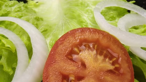 Salad Ingredients Close Up