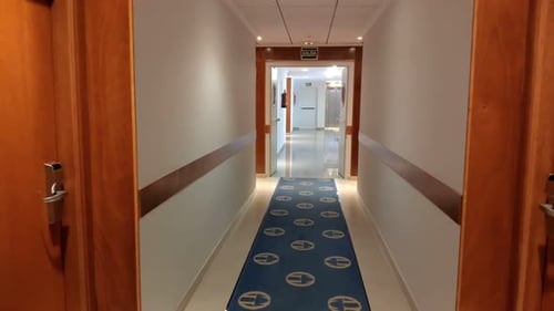hotel corridor with room doors, carpet on the floor, trash can, fireproof systems with artificial le