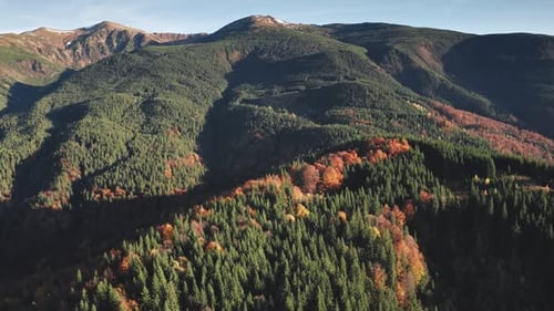 Autumn Forest at Mountain Ranges Aerial