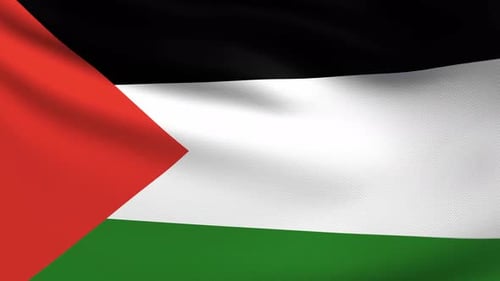 Realistic Palestinian Flag Waving Animation