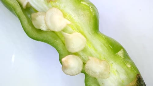 Detaillierte Analyse von Chili-Pfeffersamen