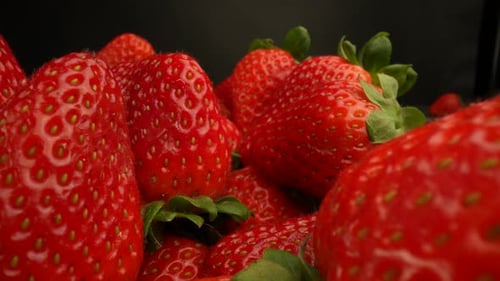 Fraises rouges mûres fraîches 25