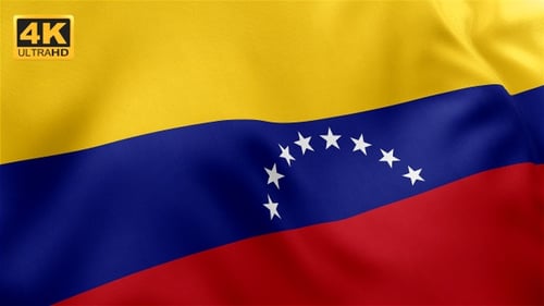 Realistic Flag of Venezuela Waving Seamless Loop