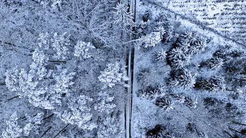 Travel in winter. Snowy forest road at winter.